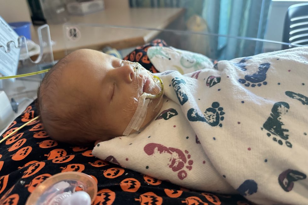 Baby sleeping in a blanket at the hospital.